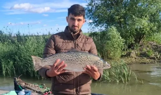 На Дунаї виявили рідкісного чорноморського лосося: детальні дослідження тривають
